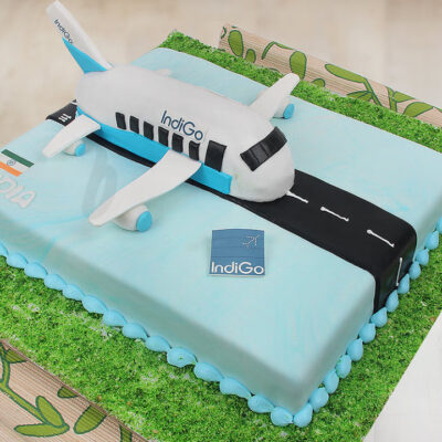 Airplane Design